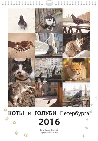 Фотографии Питерских котов и  голубей в 2016 году